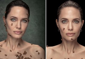 Angelina Jolie jako včelí královna?! Neuvěříte, kolik schytala žihadel