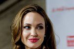 O Jolie byl mezi novináři velký zájem
