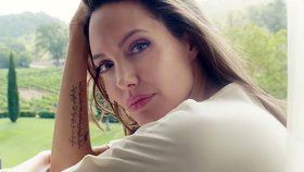 Angelina Jolie: Po rozchodu mi ochrnula půlka obličeje. Může se to stát i vám!