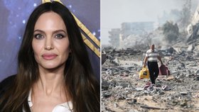 Angelina požaduje okamžité zastavení palby v Gaze.