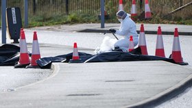 Dva muži zaútočili na cestující ve vlaku na východě Anglie. Případ vyšetřuje policie