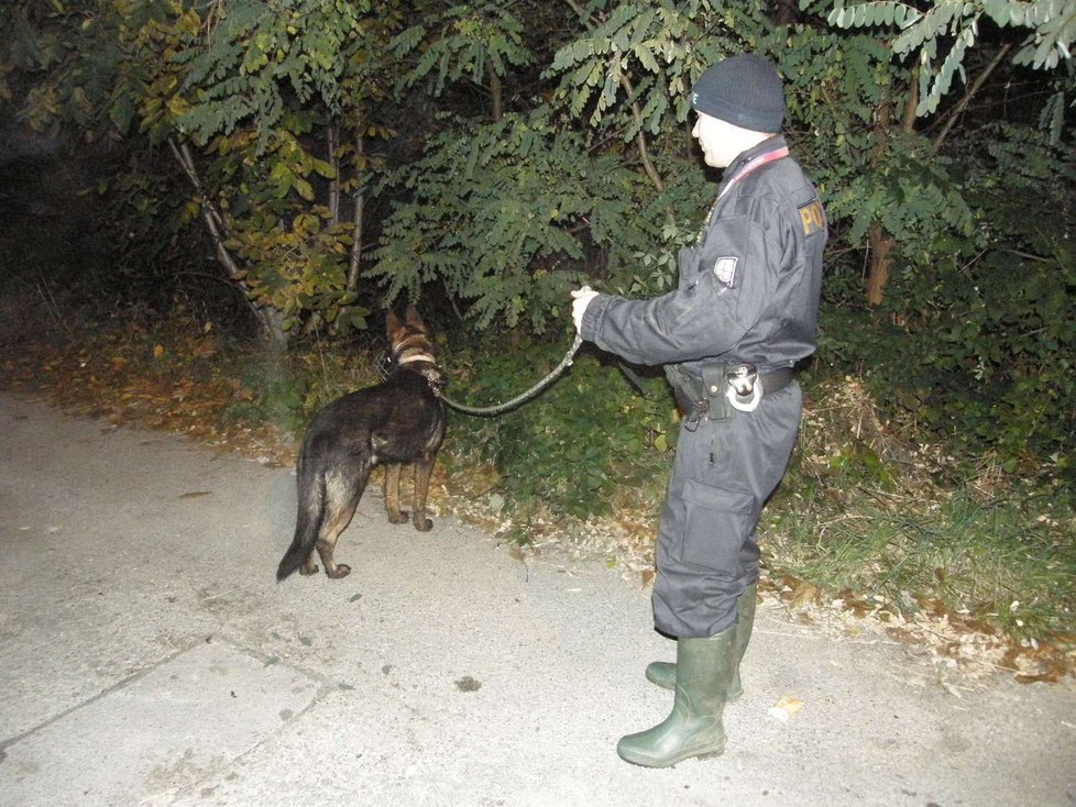 Policie pátrala po holčičce celou noc. Do akce je zapojeno také několik psovodů.