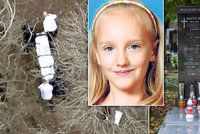 Krutá vražda Aničky Janatkové (†9): Dívenka se ztratila před 12 lety