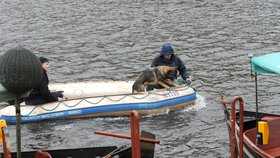 Policisté se speciálně vycvičenými psy včera opět prohledávali už i Vltavu