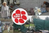 Při povodni přišla o vše, voda spláchla útulek i byt. Kočky se topily, krysy pištěly, popsala Anna