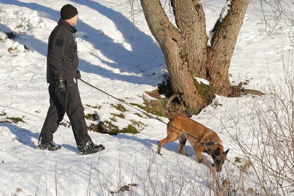 Nyní devětašedesátiletá Falkeviková Hagenová zmizela 31. října ze svého domova v Lörenskogu, který je vzdálen asi 20 kilometrů od norské metropole Oslo a zhruba 50 kilometrů od hranice se Švédskem.