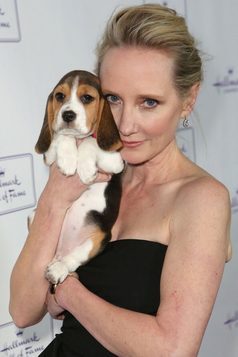 Anne Heche