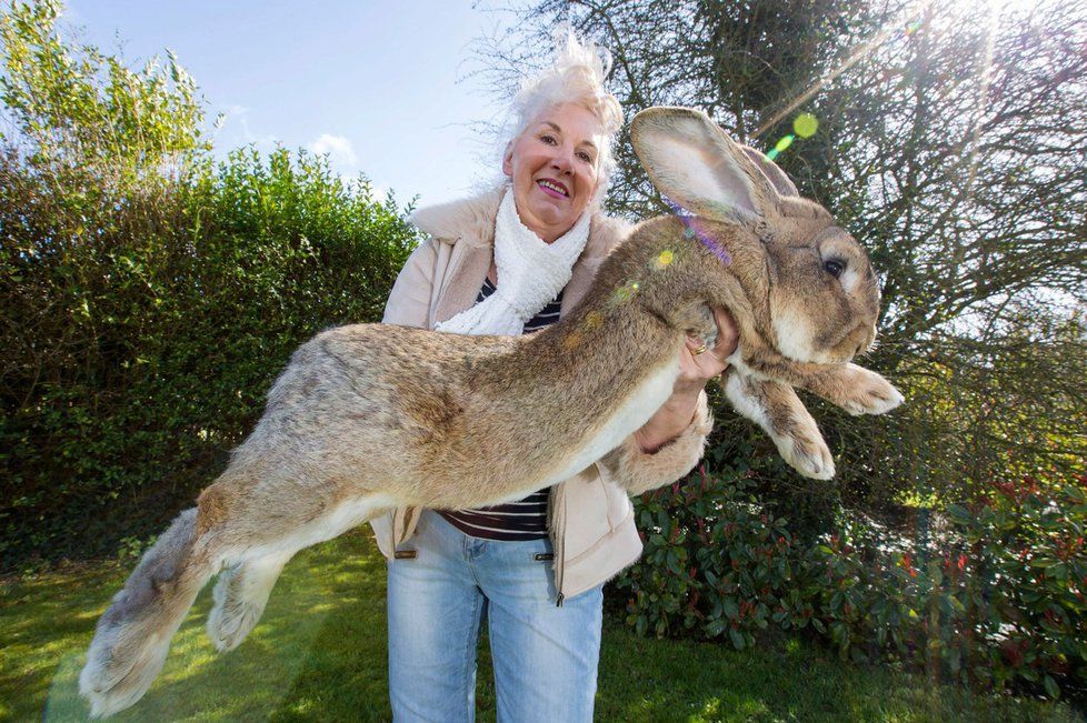 Majitelka Simona s jedním ze svých králíků