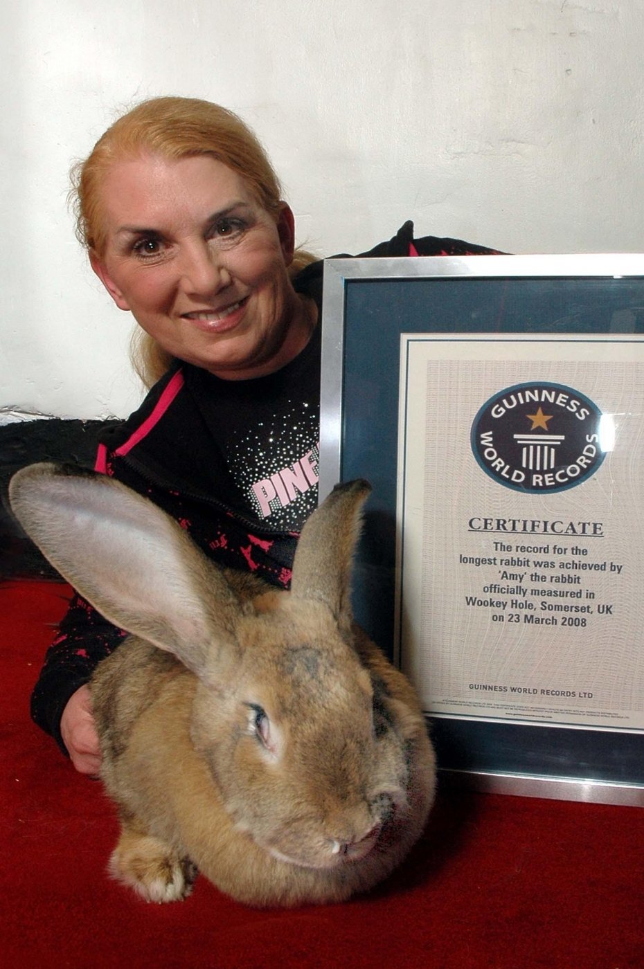 Annette Edwards s králičicí Amy a certifikárem z Guinnessovi knihy rekordů.