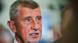 Andrej Babiš vloží do 8. ledna holding Agrofert do svěřenského fondu RSVP Trust Andrej Babiš vloží do 8. ledna holding Agrofert do svěřenského fondu RSVP Trust