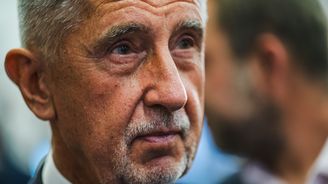 Nová vláda na cestě: Babiš plánuje složení kabinetu do poloviny prosince Nová vláda na cestě: Babiš plánuje složení kabinetu do poloviny prosince