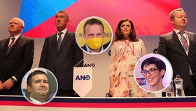 Rok 2021 bude ve znamení voleb. Nejen těch do poslanecké sněmovny, ale také ve jednotlivých stranách. Delegáti si budou totiž volit nová vedení. Lidovci ale svůj sněm o rok odložili