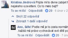 Nenávistné komentáře Ano, šéfe na Facebooku