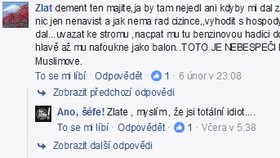 Nenávistné komentáře Ano, šéfe na Facebooku