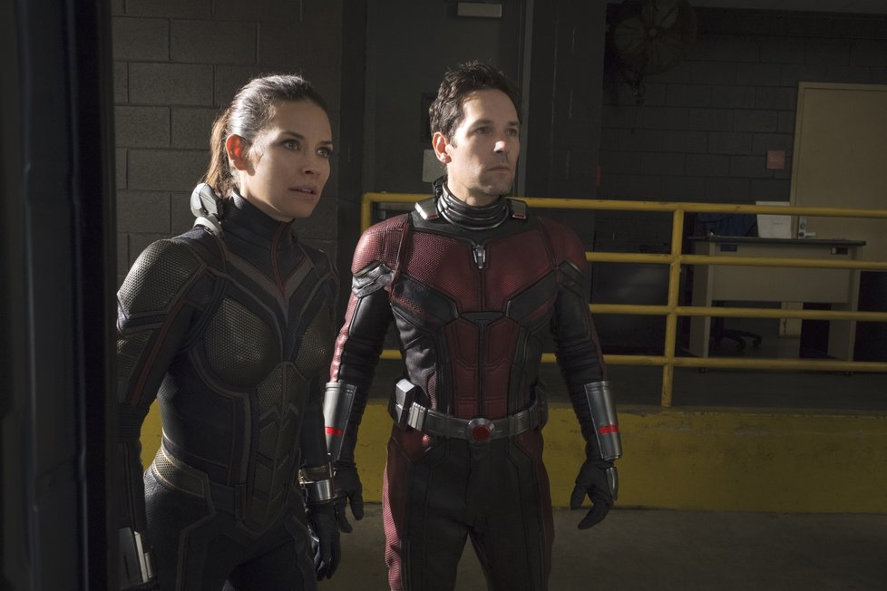 Ant-Man a Wasp: Mravenčí frajer a vosí kočka se dali dohromady, aby to natřeli padouchům od 5. 7. 2018 v kinech.