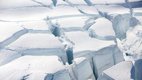 Antarktida by mohla zezelenat, vlivem klimatických změn na sněhu rostou řasy.