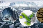 Antarktida v sobě skrývá samotné tajemství naší planety - bude se moci stát naším katem?