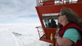 Výhled z lodi akademik Šokalskij: Do masy ledu, ve které loď uvízla