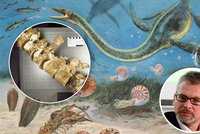 Fantastický objev českých vědců v Antarktidě: Našli kosti 75 milionů let starého ještěra!