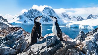 Antarktická nej a sedmička neotřelých tipů