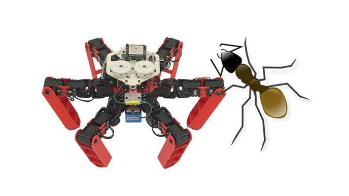 Robotický mravenec AntBot nepotřebuje GPS, orientuje se podle slunce