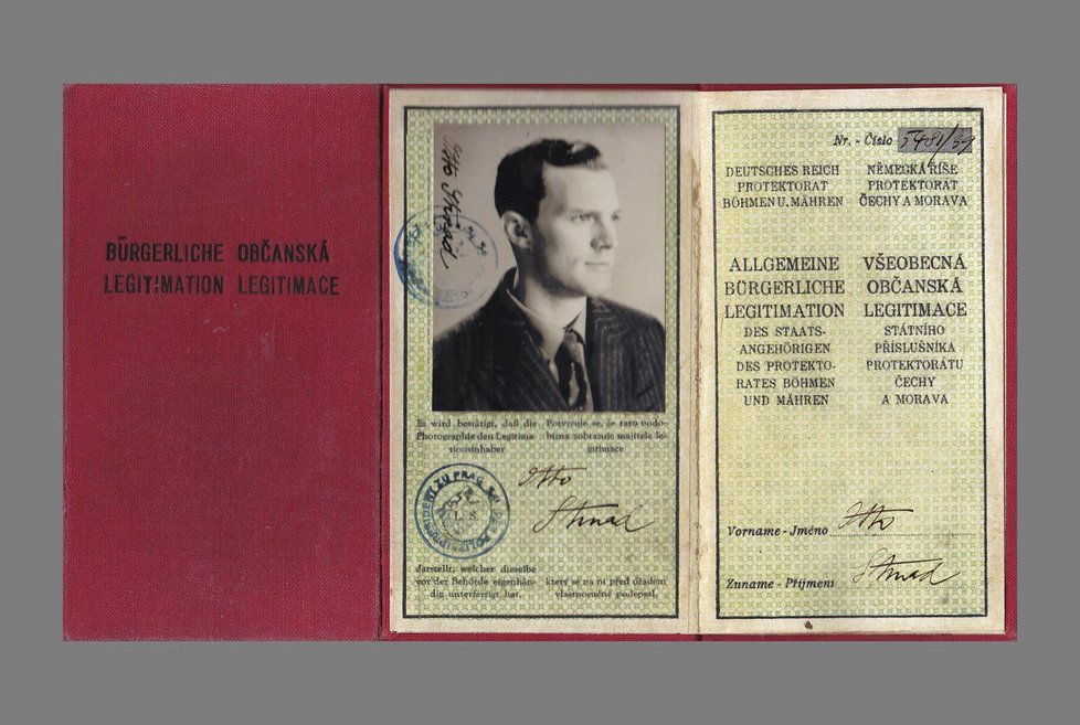 Anthropoid