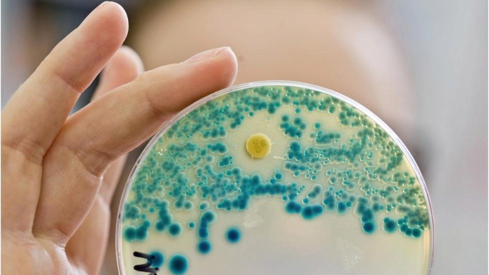 Zbytky antibiotik ve vodách zvyšují rezistenci bakterií.