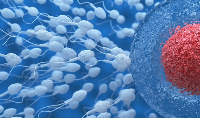 Nový typ mužské antikoncepce je podobně efektivní jako vasektomie - ilustrační foto