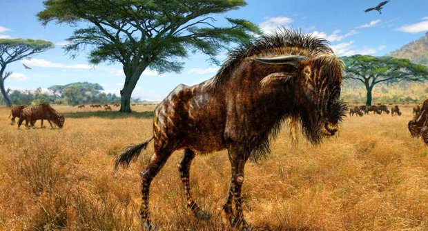 Zvláštní objev: Antilopa s dinosauřím čumákem