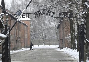 Pohled na koncentrační tábor v Osvětimi