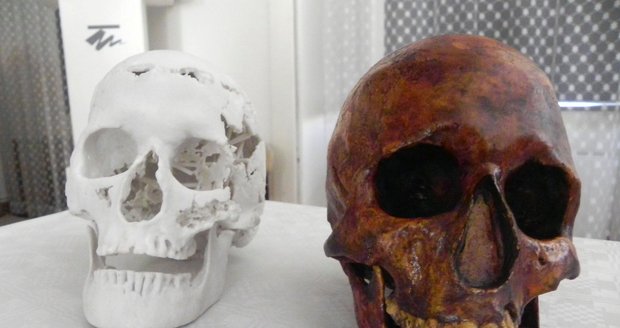 Model lebky šamanky z 3D tiskárny (vlevo) a věrná kopie skutečné lebky z roku 1949. Originál je uschován v trezoru muzea.