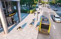 Doručovací roboti vybíhají z autonomního poštovního autobusu