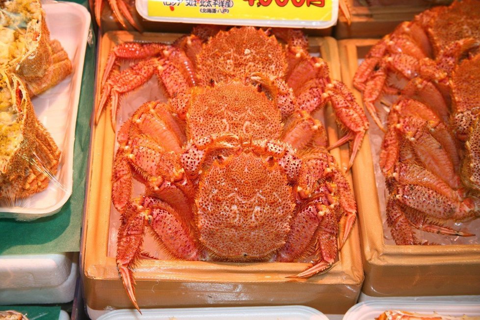 Na rybím trhu ve městě Aomori lze koupit nespočet druhů mořských plodů