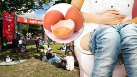 Přísnější kontrola »Apetit pikniku« rok po salmonele: Na akci dohlédne hygiena