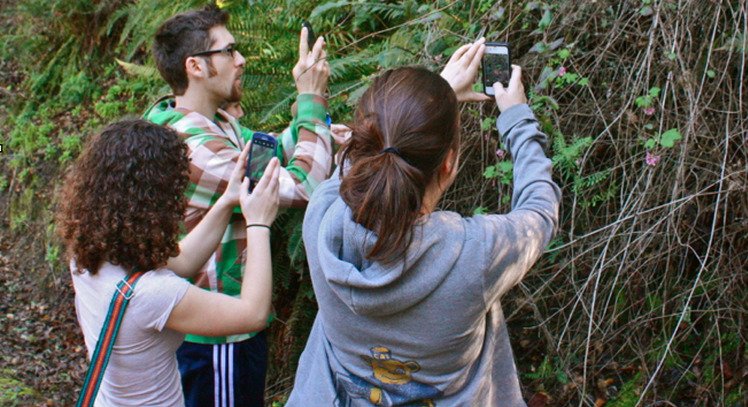 Díky aplikaci iNaturalist můžete jednoduše a rychle poznat, co vše kolem vás roste a žije