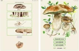 V aplikaci na houby je i atlas s&nbsp;více než 200 druhy hub