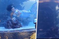 Aquabalerína se během show zahákla o rekvizitu: Video zachycuje její boj s časem