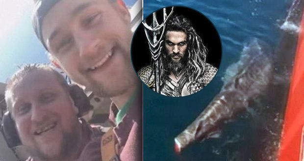 Rybáři usekli žralokovi ocasní ploutev a hodili ho do moře: Jděte do pr*ele! vzkázal jim Aquaman