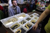 Stovky hadů děsily návštěvníky brněnského výstaviště