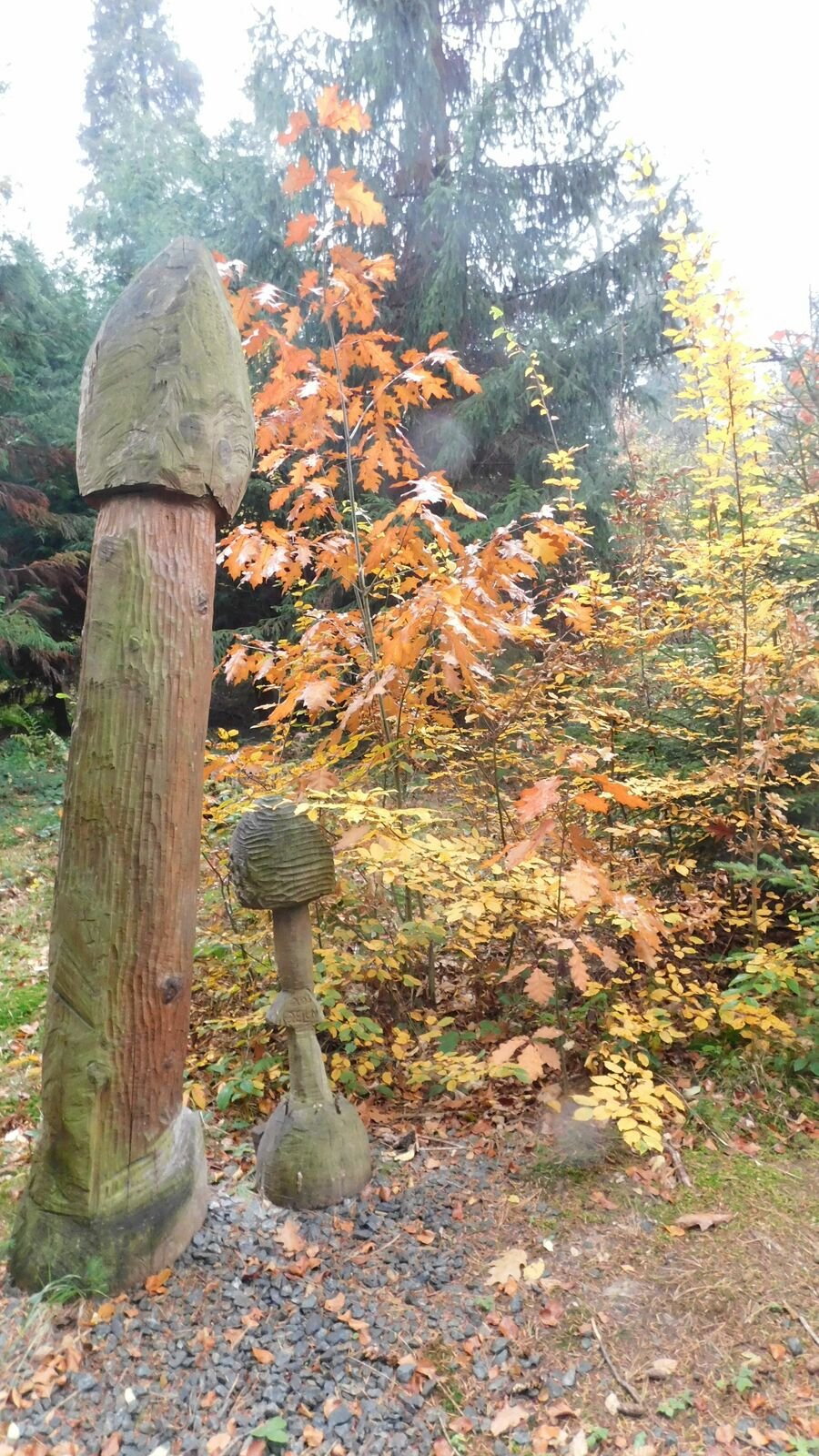 Arboretum Školního lesního podniku Masarykův les v Křtinách. V areálu se nachází na 800 druhů dřevin z celého světa.