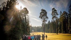 Unikátní arboretum v Řícmanicích u Brna se po třech letech od kůrovcové kalamity otevírá veřejnosti.