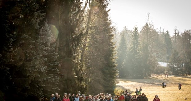 Unikátní arboretum v Řícmanicích u Brna se po třech letech od kůrovcové kalamity otevírá veřejnosti.