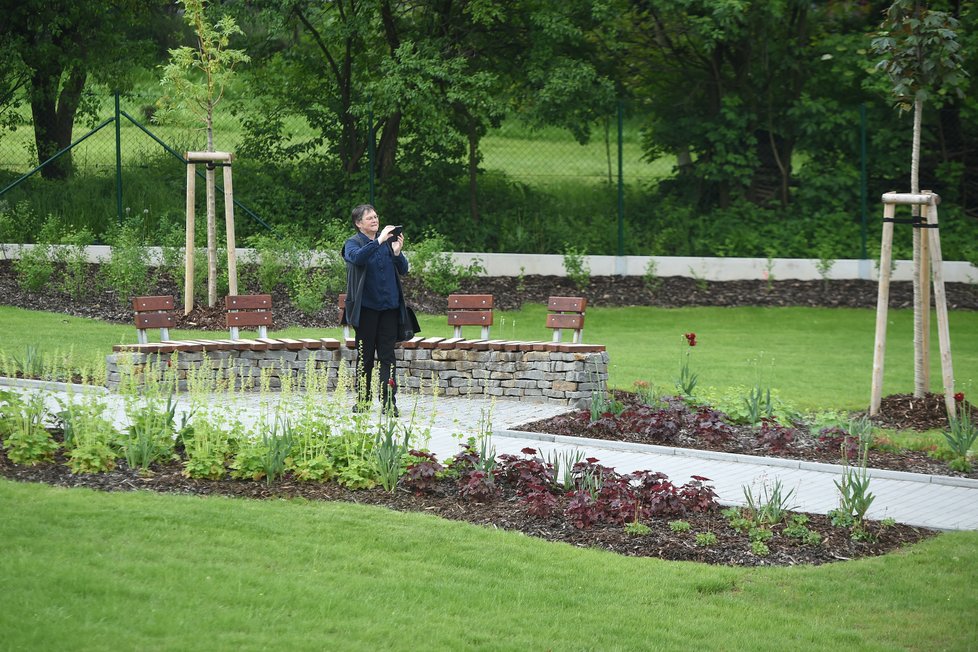 Ve Frýdku-Místku poblíž nemocnice bylo otevřeno nově vybudované arboretum o rozloze téměř dvou hektarů.
