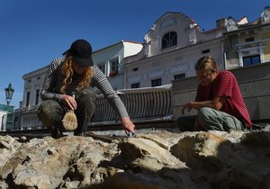 Archeologové při průzkumu v centru Karviné v těsné blízkosti regionální knihovny odkryli zbytky rohového měšťanského domu na Masarykově náměstí, který není zakreslen ani v dobových katastrálních mapách.