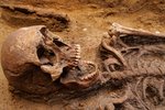 Archeologové našli na Břeclavsku kostru bojovníka se psy z 6. století. Je téměř neporušená.