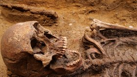 Archeologové našli na Břeclavsku kostru bojovníka se psy z 6. století. Je téměř neporušená.