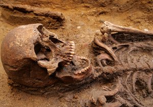Archeologové našli na Břeclavsku kostru bojovníka se psy z 6. století. Je téměř neporušená.