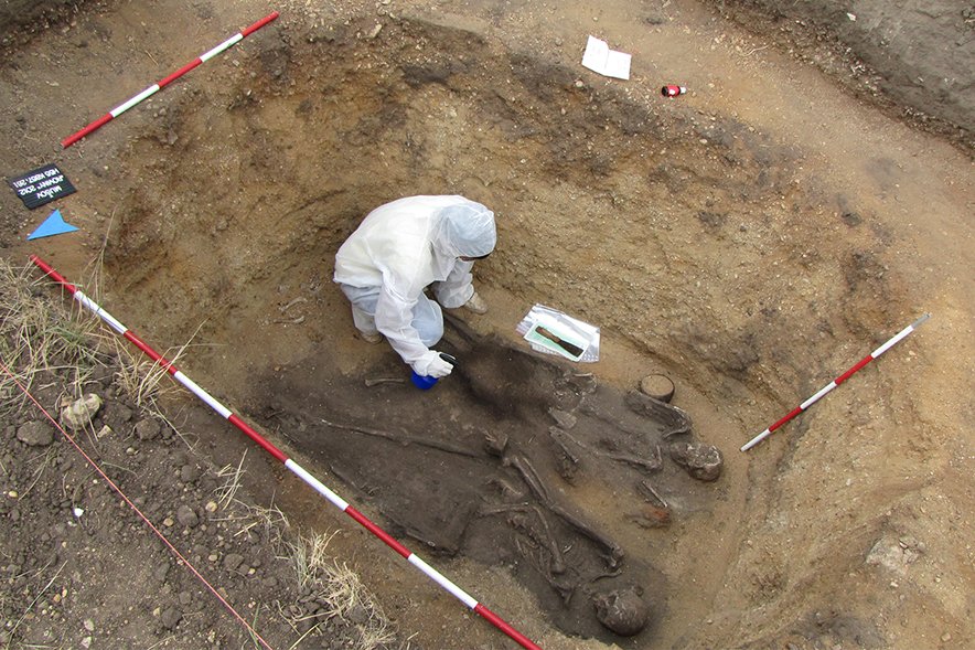 Archeologové našli na Břeclavsku kostru bojovníka se psy z 6. století. Je téměř neporušená.