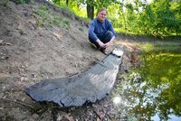Unikátní nález v Břeclavi: V Dyji ležely pozůstatky dubové lodi, mohou být tisíce let staré