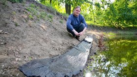 Archeolog Libor Kalčík u Dyje v Břeclavi nad fragmenty tisíce let staré vydlabané dubové lodi. Mohla sloužit k přepravě materiálu, možná těžších beden nebo rybolovu.